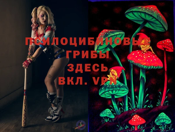 спиды Володарск
