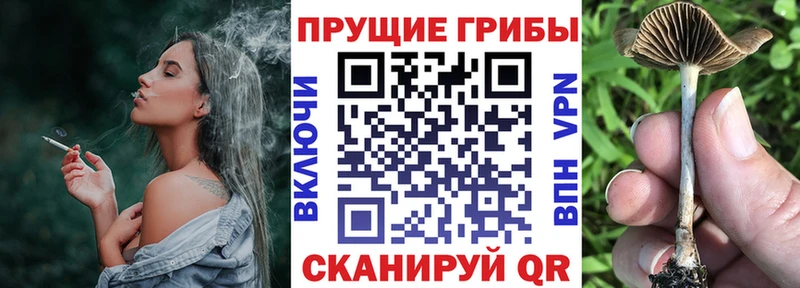 даркнет сайт Якутск Галлюциногенные грибы мухоморы